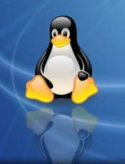 Linux 安装配置指南