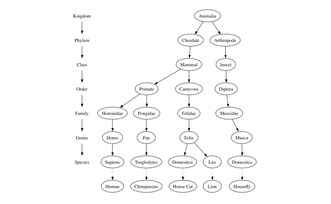 6.2.树的例子.figure1
