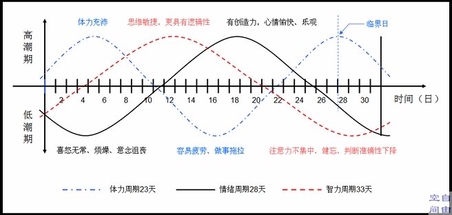 情绪周期